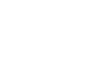 Bluewall Logo